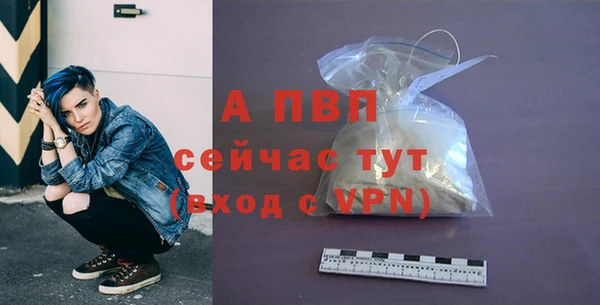 индика Верея