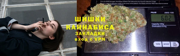 индика Верея