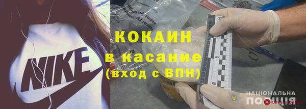 индика Верея
