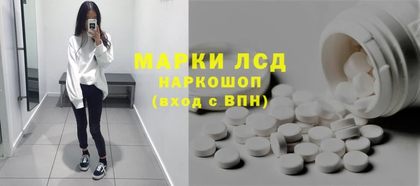 индика Верея